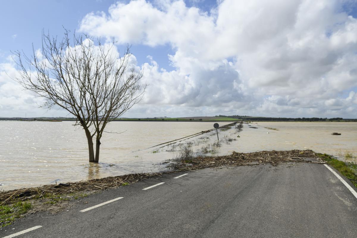 Un punto de la SE-9021 que ha tenido que ser cortada a causa de las inundaciones. Esta carretera se cruza con la AP-4 en el tramo en el que la autopista ha sido cortada y pasa cerca de la línea ferroviaria Madrid-Cádiz.