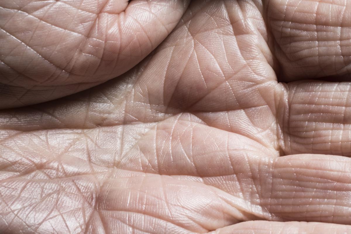 Arrugas de las manos.