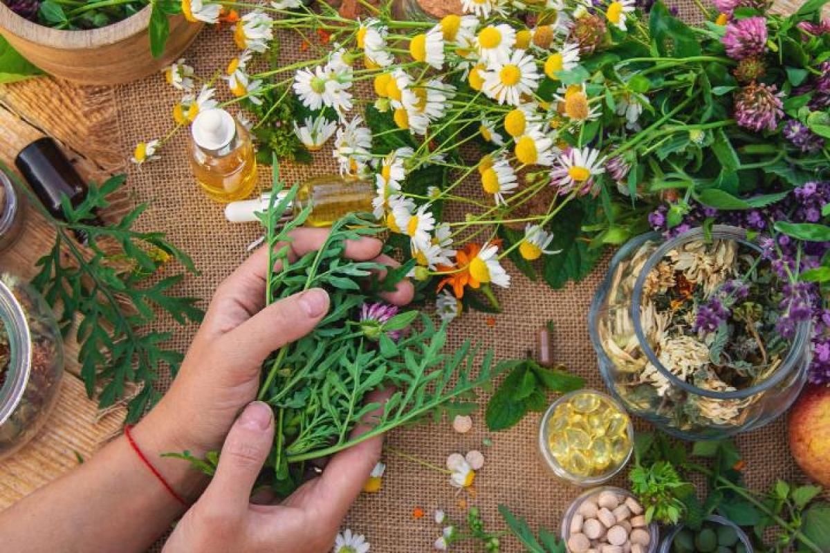 Esta planta medicinal ayuda a mejorar la memoria