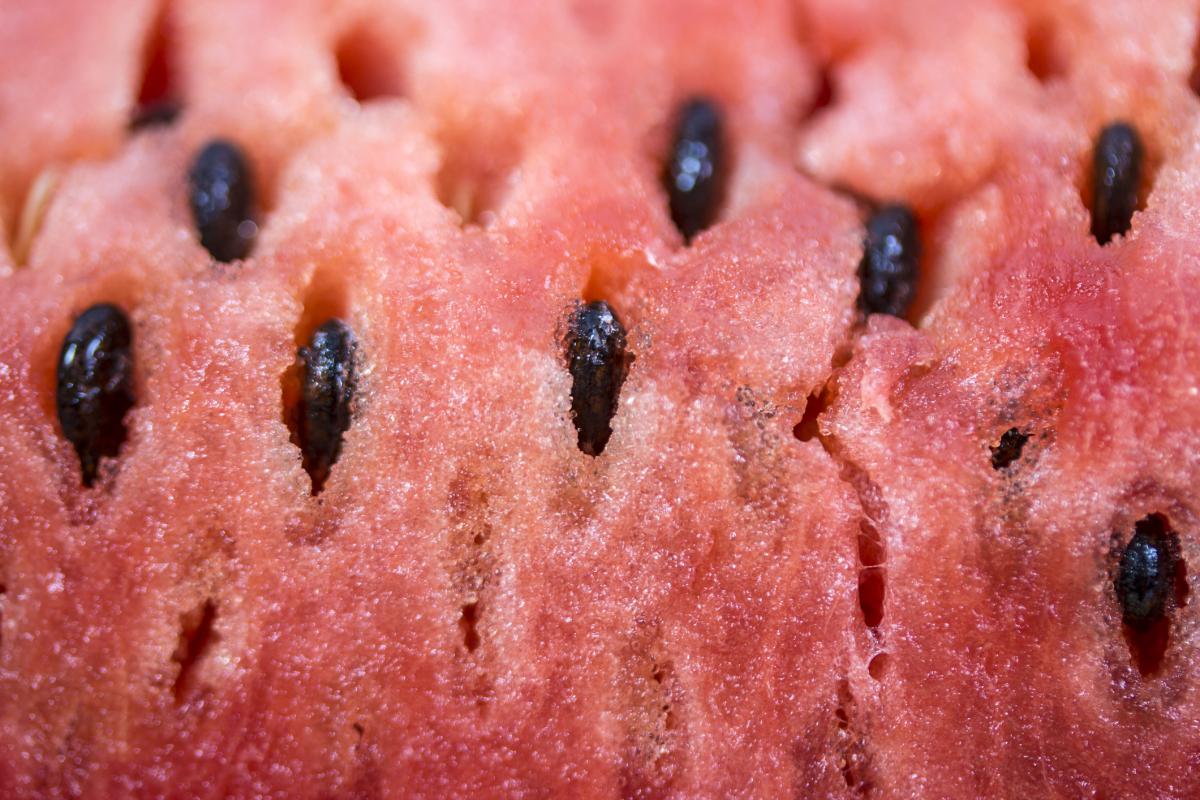 Plano detalle de una sandía.