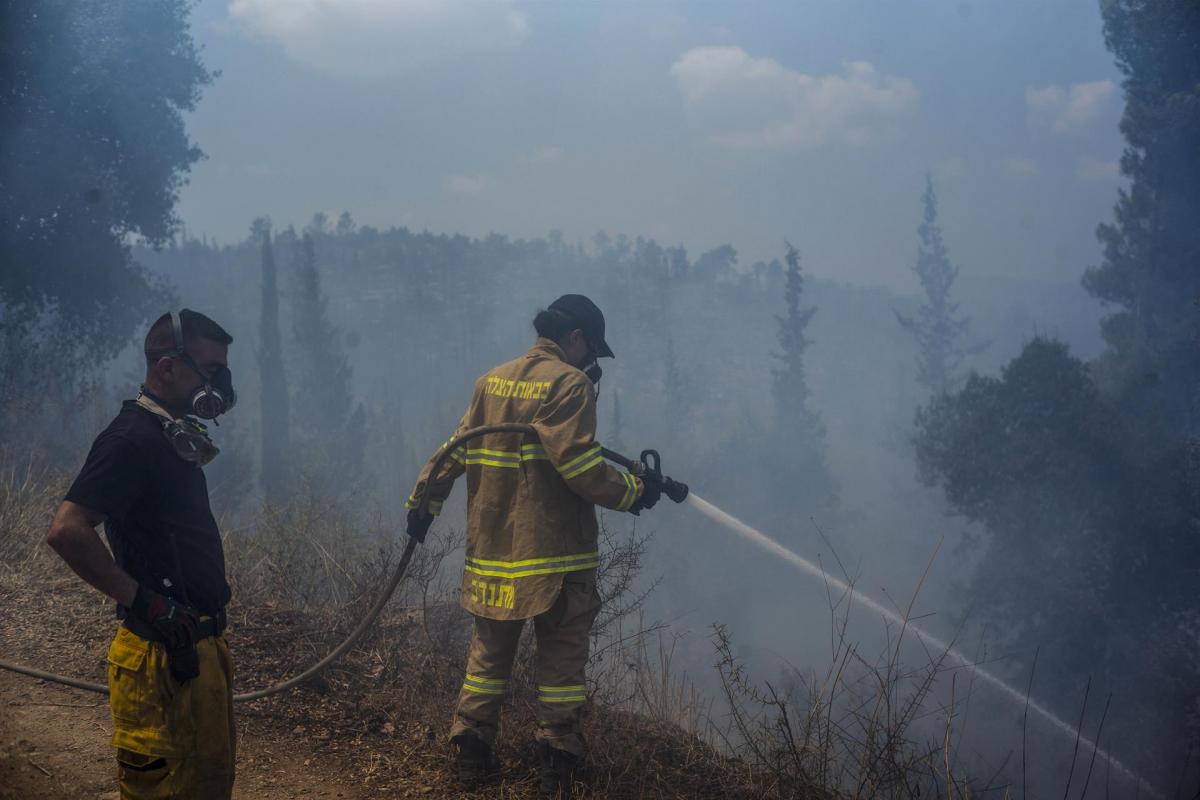 Bomberos israelís tratan de frenar los incendios forestales.