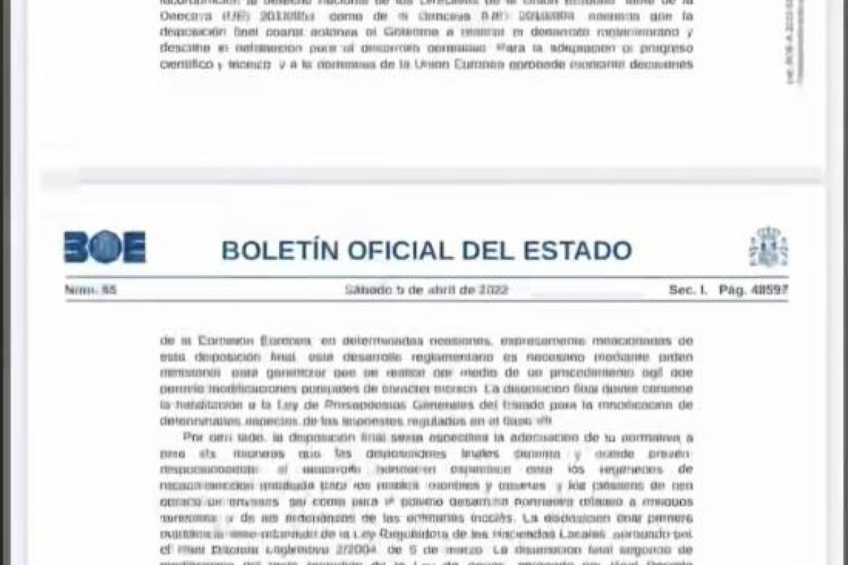 Captura del BOE que ha publicado Helio Roque en TikTok