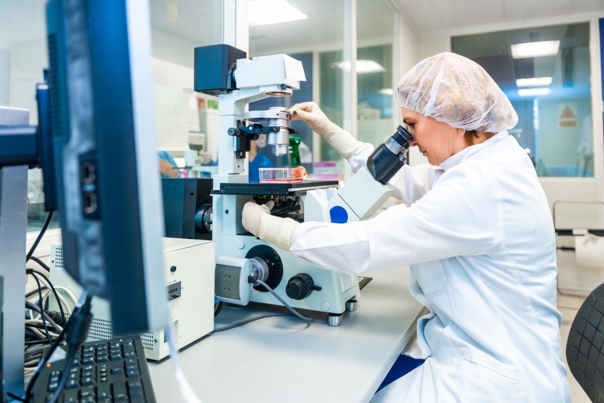 Una investigadora analiza muestras con su microscopio.