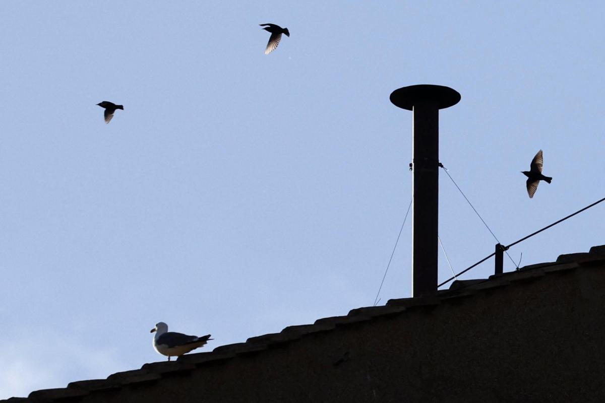 La chimenea instalada en el tejado de la Capilla Sixtina para anunciar el nuevo papa.