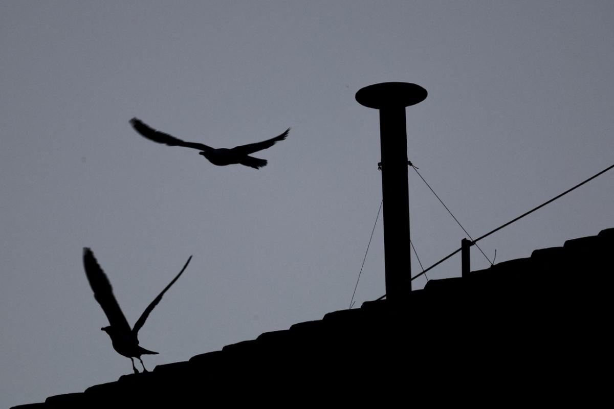 La chimenea instalada en el tejado de la Basílica de San Pedro de la que están pendientes millones de católicos.
