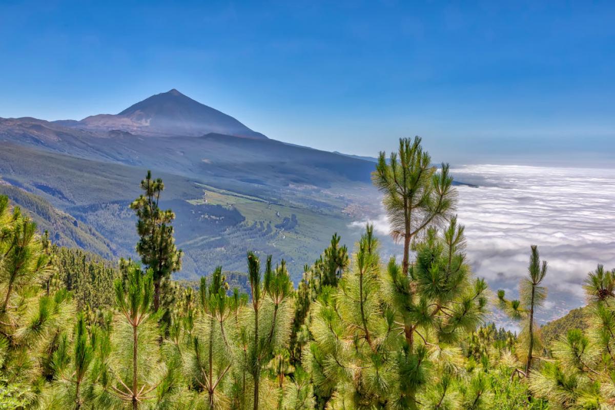 El Teide visto desde el Mirador de Chipeque