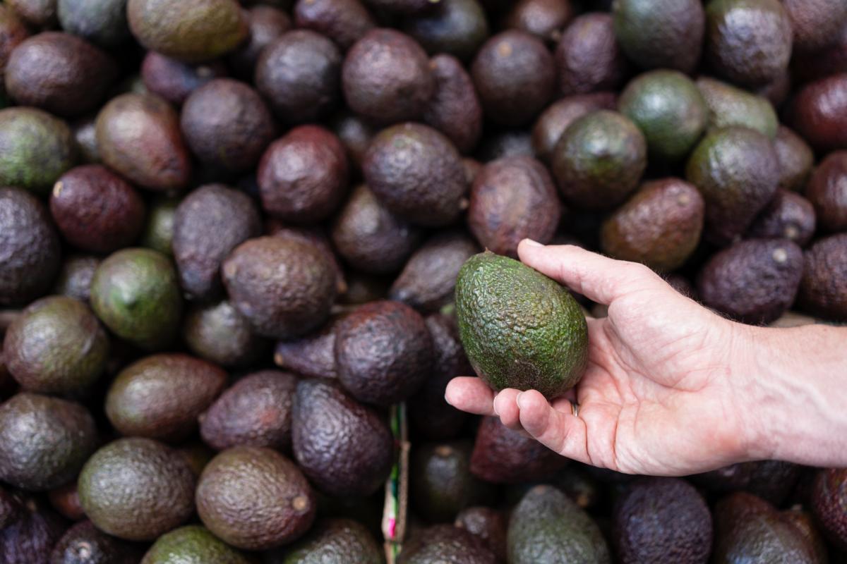 Imagen de archivo de aguacates.