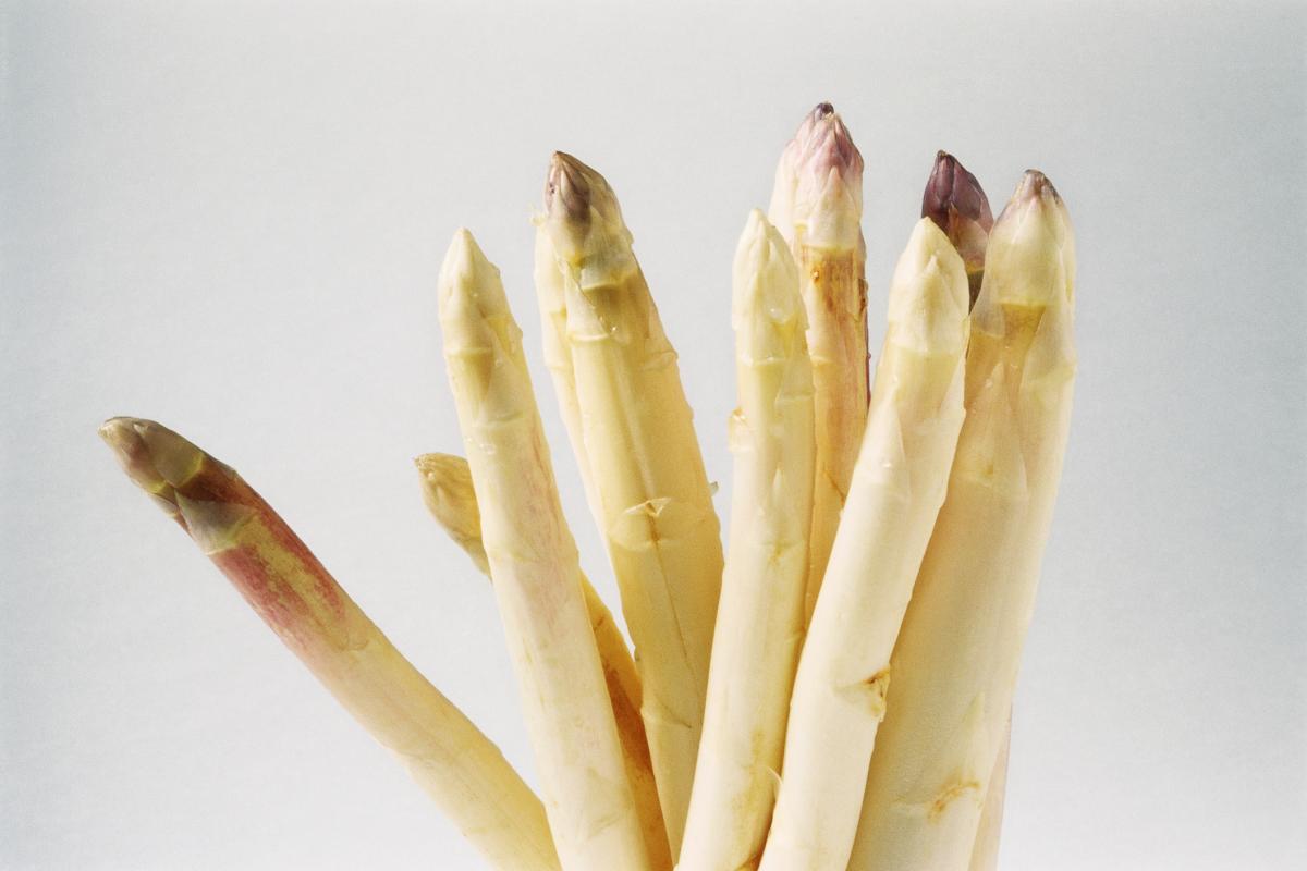 Un manojo de espárragos blancos.