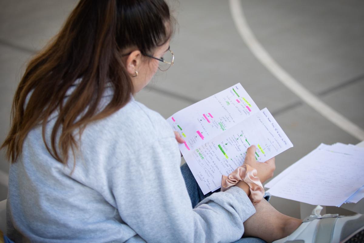 Una joven repasando sus apuntes antes de la PAU, en una imagen de archivo.