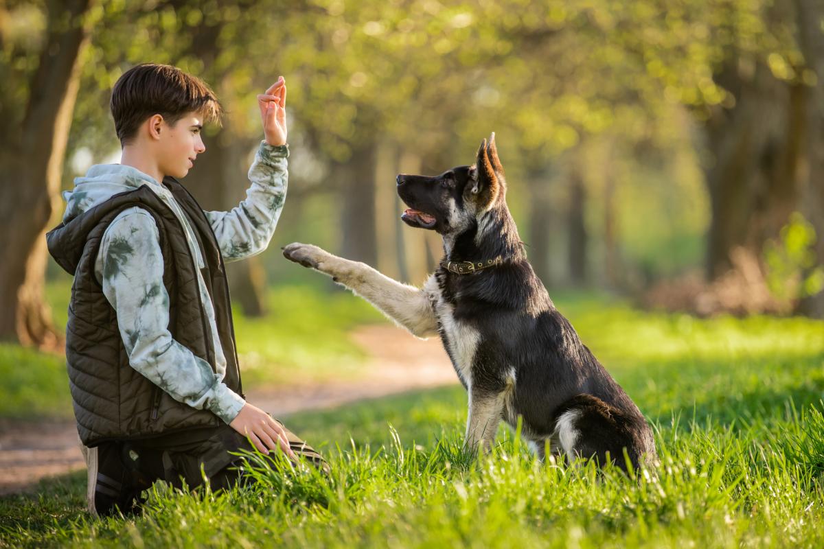 Imagen de un joven jugando con un perro.