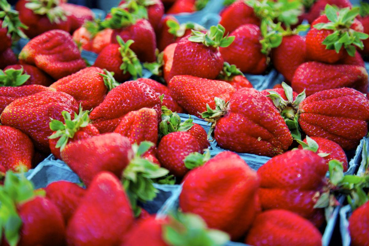 Imagen de archivo de fresas.