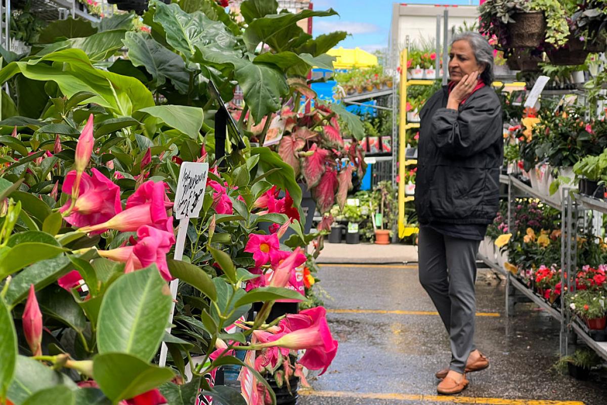 Una mujer busca una planta en un vivero.