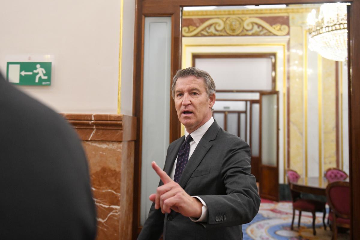 El líder del PP, Alberto Núñez Feijóo.