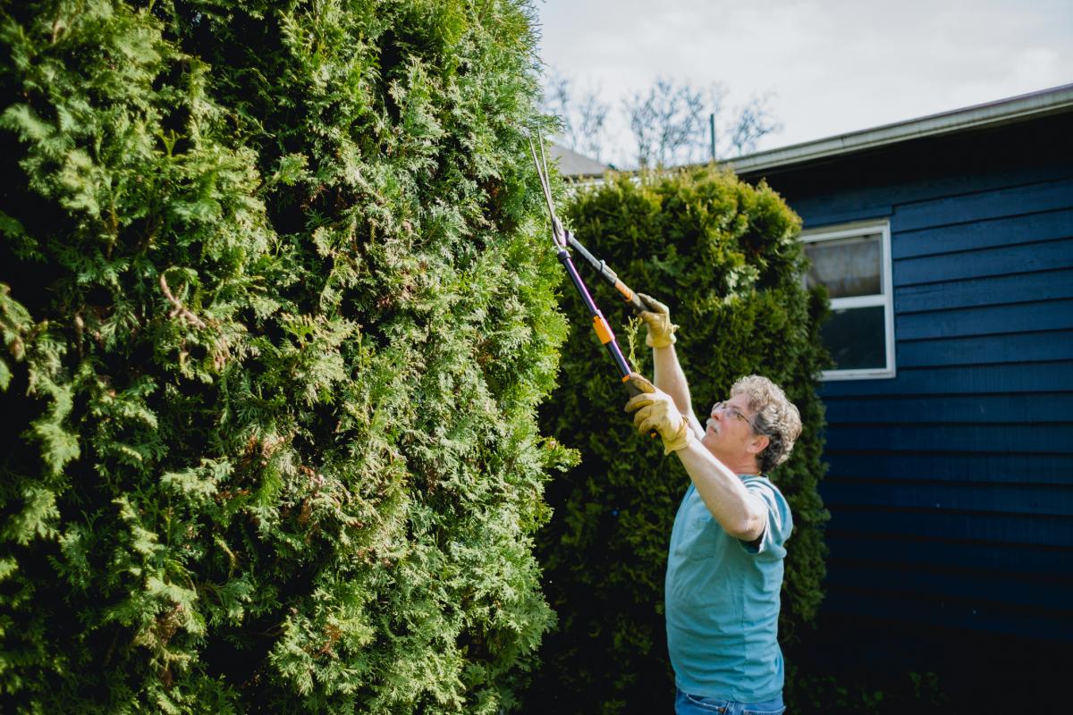 La pantalla vegetal, una opción ideal para ocultar nuestro jardín de miradas ajenas.