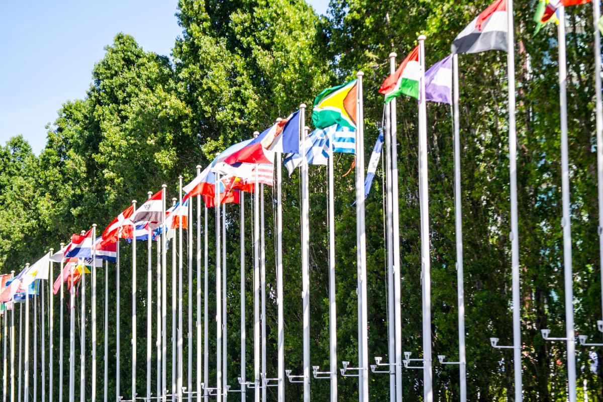 Banderas de varios países.