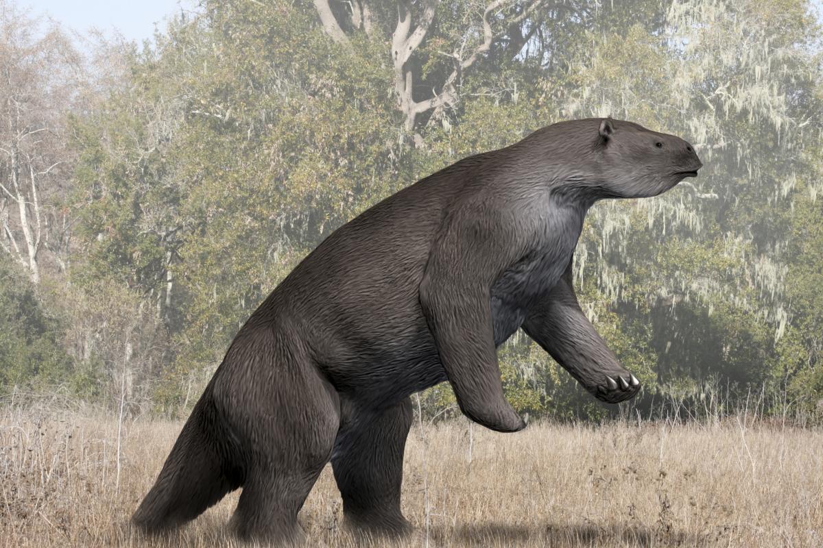 Ilustración de un perezoso gigante.