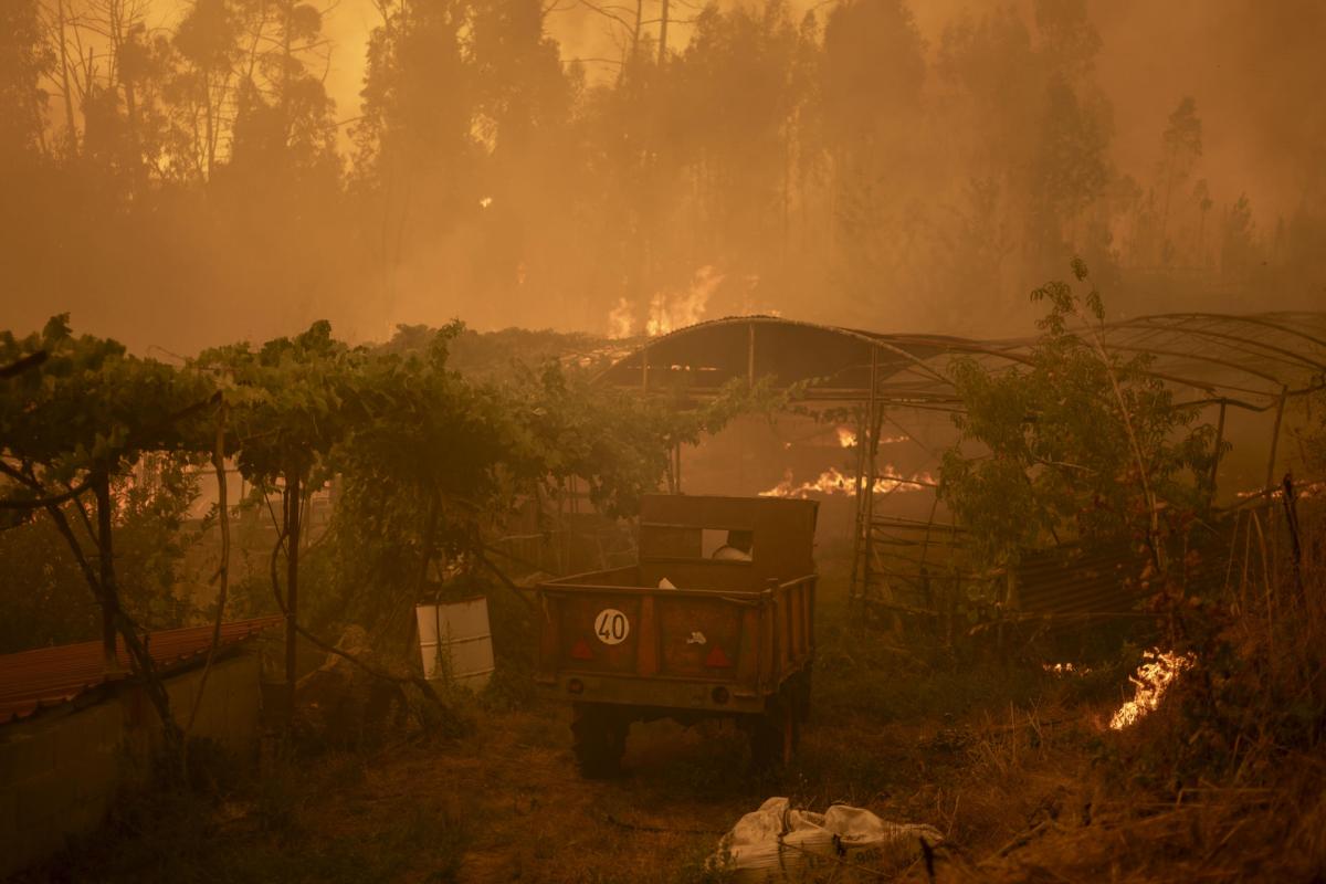 CARBALLEDA DE AVIA (OURENSE), 17/08/2025.- Vista del incendio forestal de Carballeda de Avia (Ourense) este domingo.
