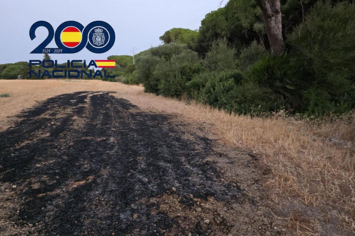 Vista del incendio por el que ha sido detenido una persona en Puerto Real (Cádiz).