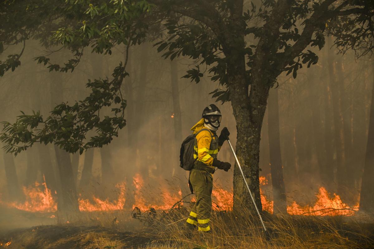 Un bombero forestal realiza labores de extinción en el incendio en A Gudiña (Ourense).