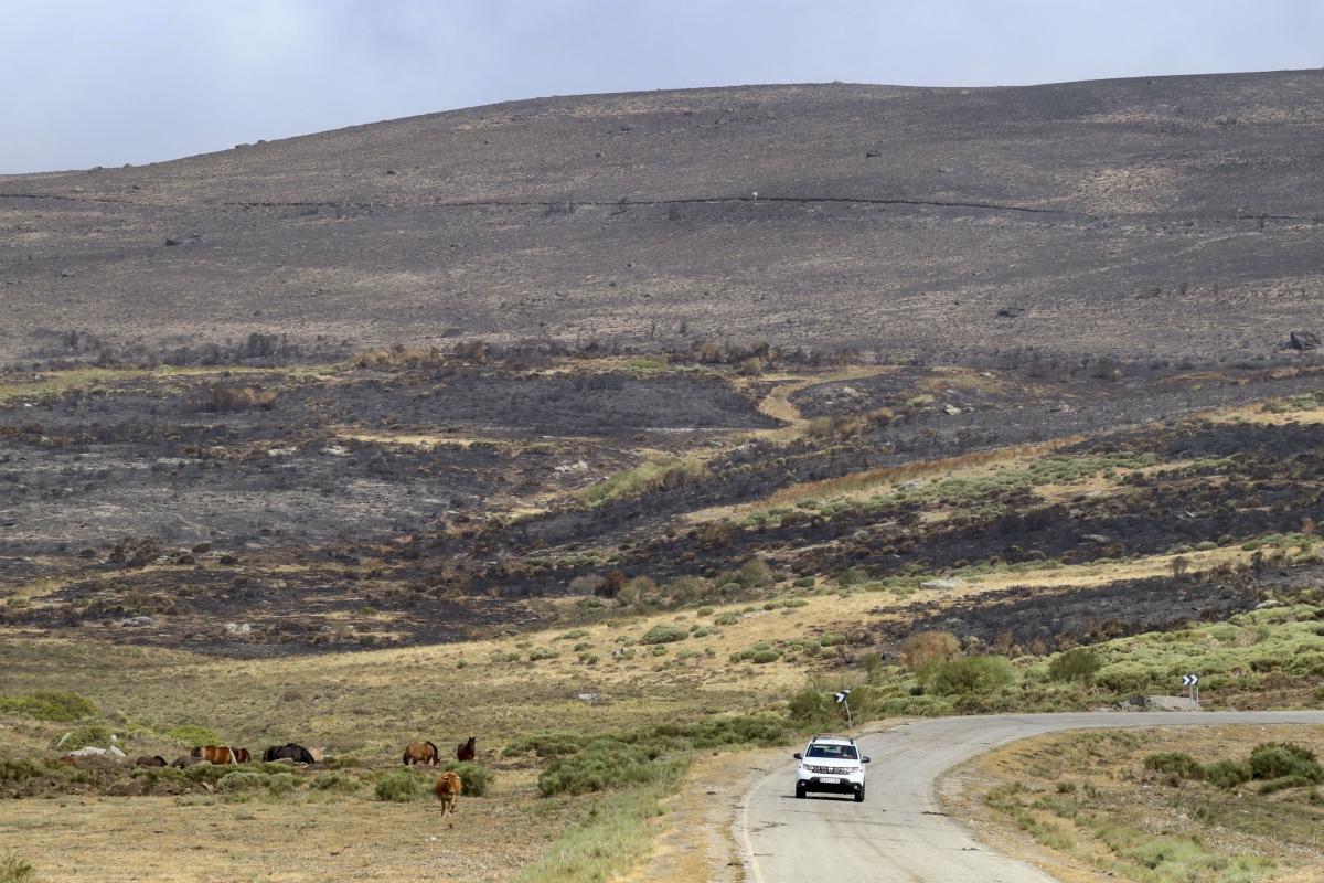 Vista de los estragos del incendio forestal de Porto (Zamora).