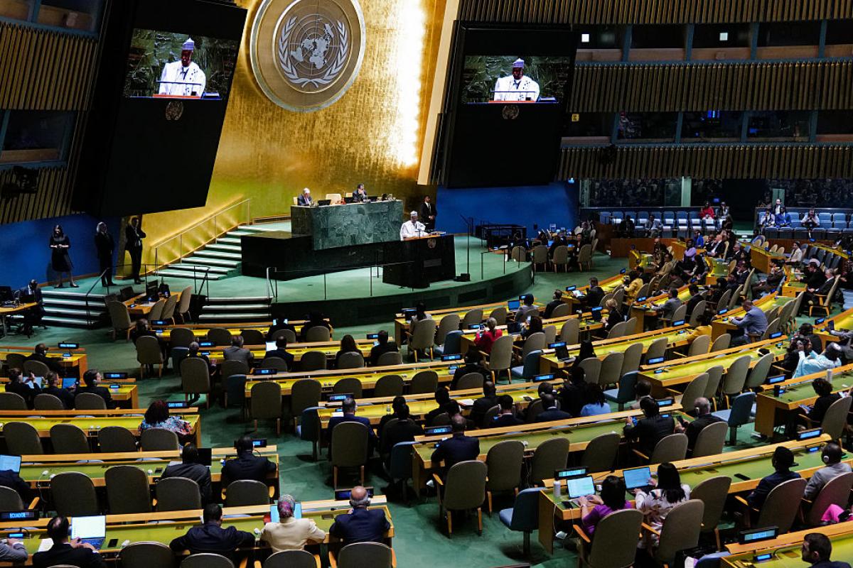 Vista de la Asamblea General de la ONU