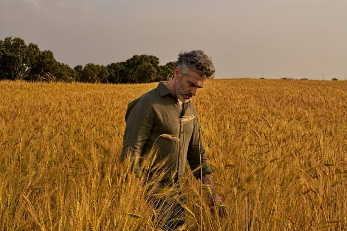 Leonardo Sbaraglia en el cartel promocional de 'Los días perfectos'.