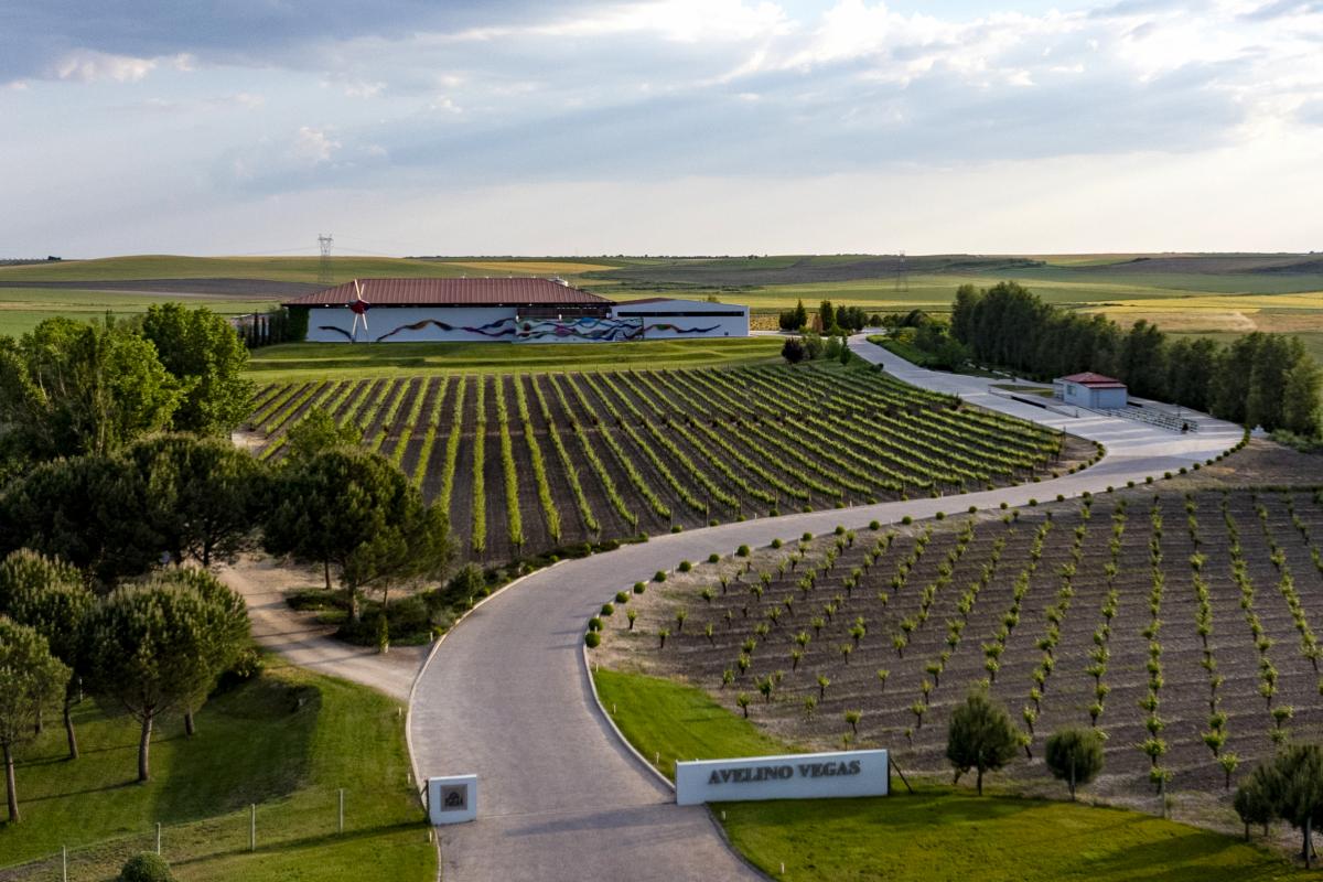 Vista de la Bodega de Avelino Vegas en Santiuste de San Juan Bautista, Segovia