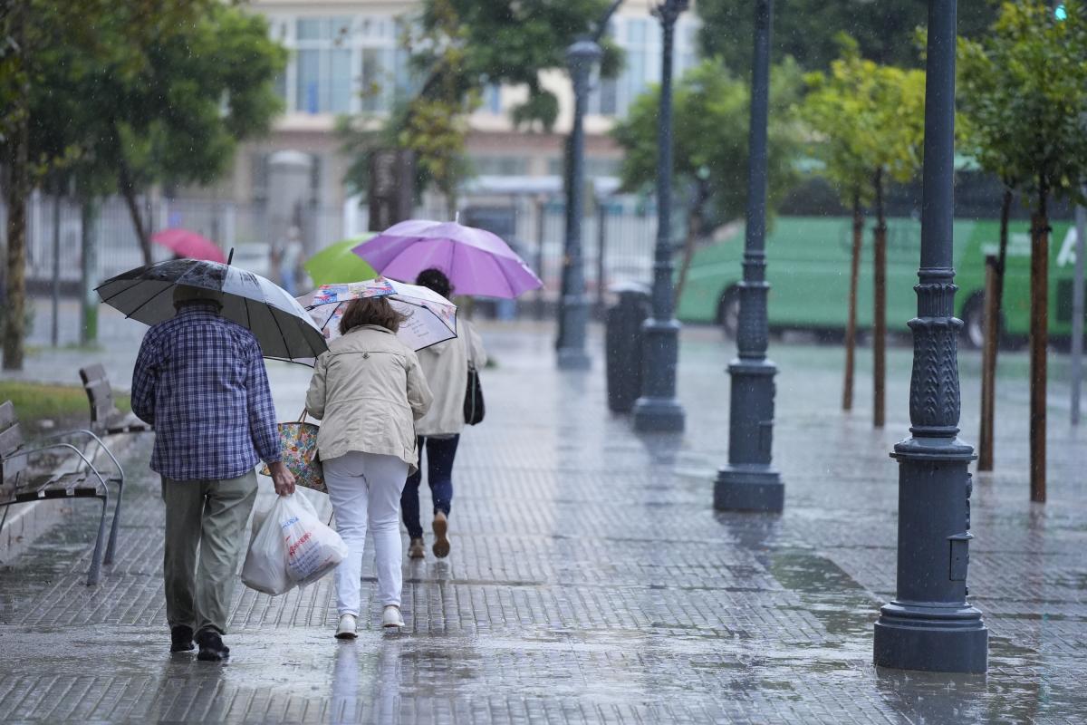 Transeúntes bajo sus paraguas durante una fuerte lluvia el 11 de octubre de 2024, en Cádiz (Andalucía, España).