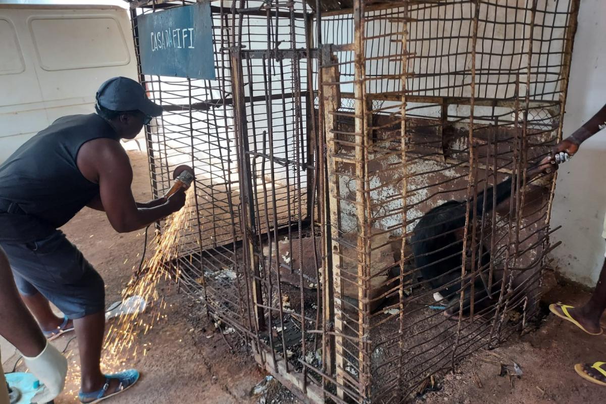 El momento en el que abrían la celda de Fifi.