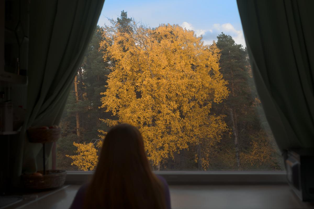 Una persona se asoma a una ventana y ve un paisaje de invierno.
