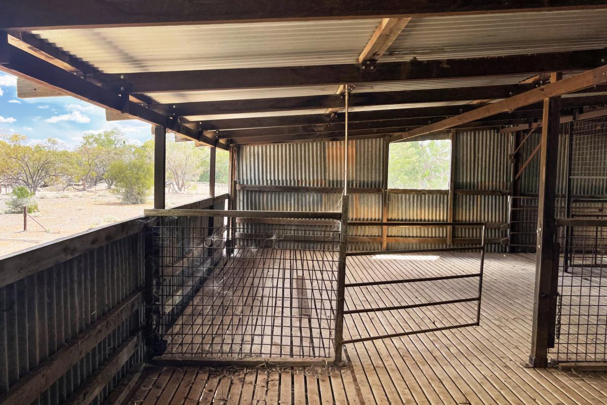 Cobertizo de ovejas en una imagen de archivo