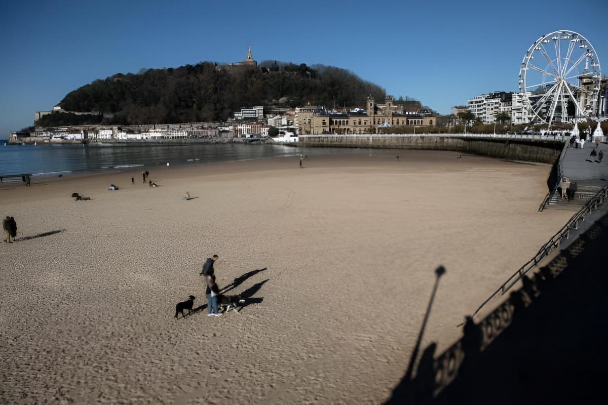 Unos perros corriendo en la playa de la Concha, en Donosti