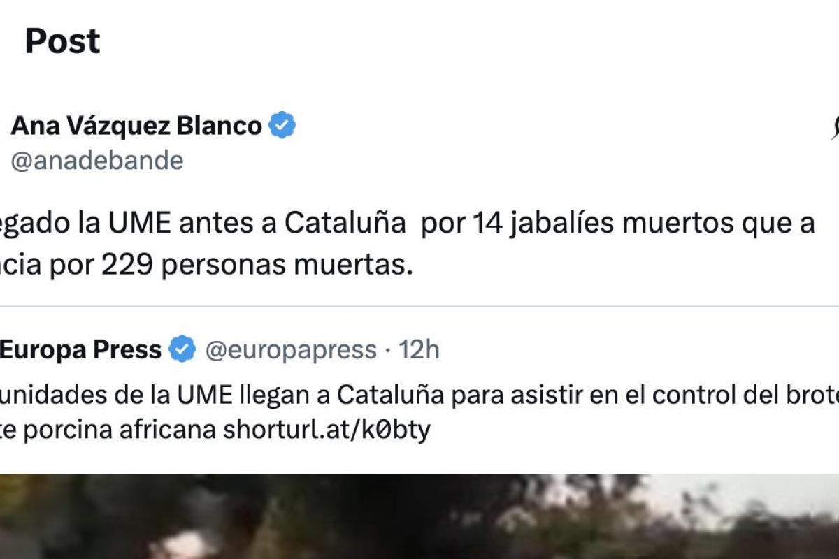 Captura de un Tuit de Ana Vazquez