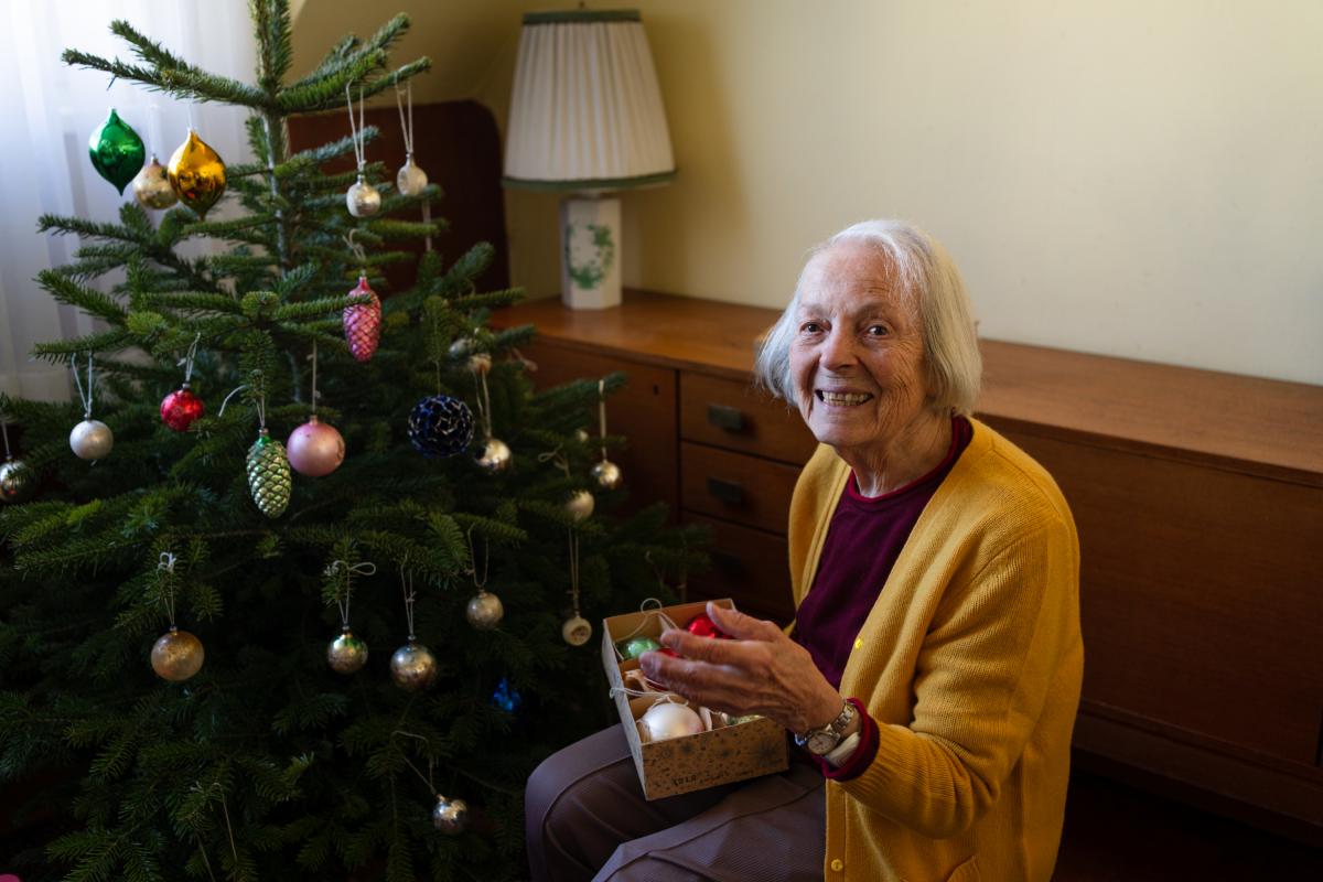 Una persona mayor coloca el árbol de Navidad