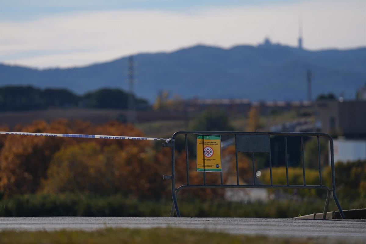 Valla para cortar el paso a las zonas restringidas por la cuarentena ante la peste porcina africana