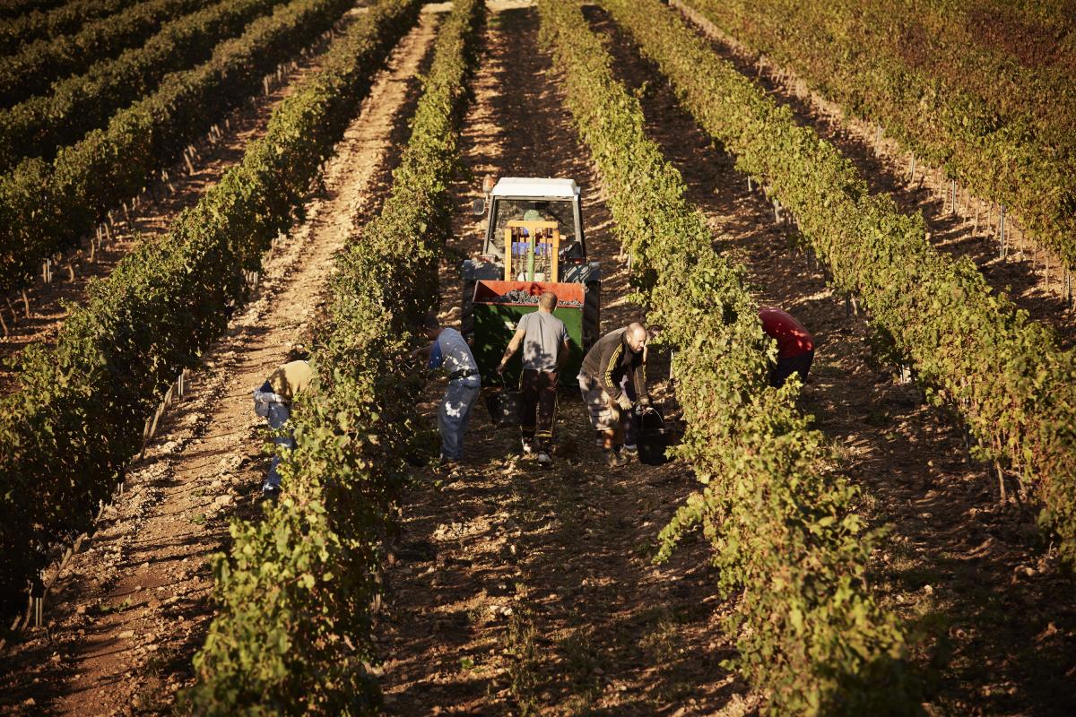 Agricultor trabajando la tierra con un tractor