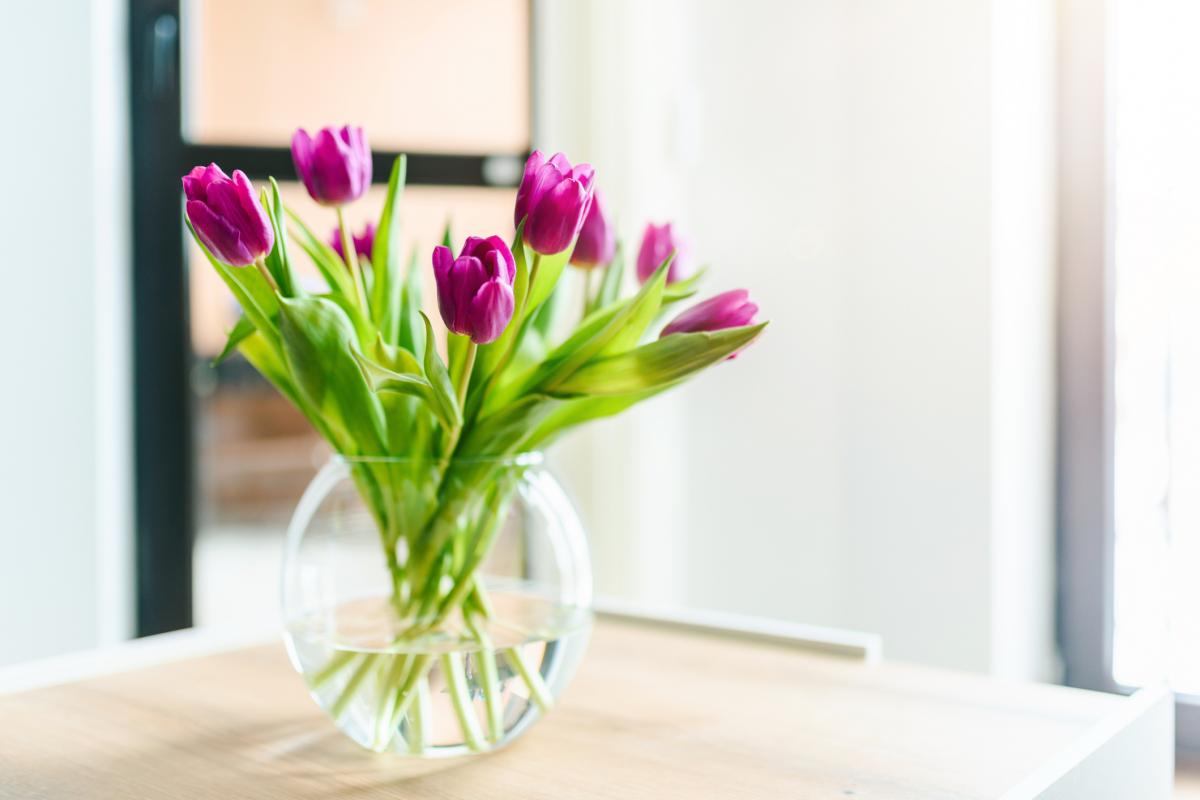 Imagen de archivo de un ramo de tulipanes.