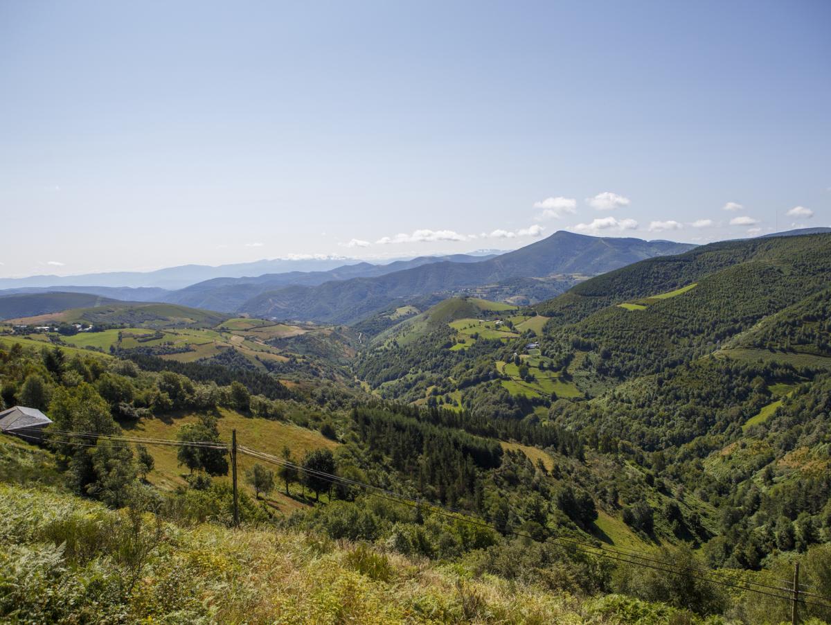 En 1926, el Ayuntamiento de Mieres compró en subasta 1.186 hectáreas de montaña en León: cien años después, Babia sigue peleando por los pastos