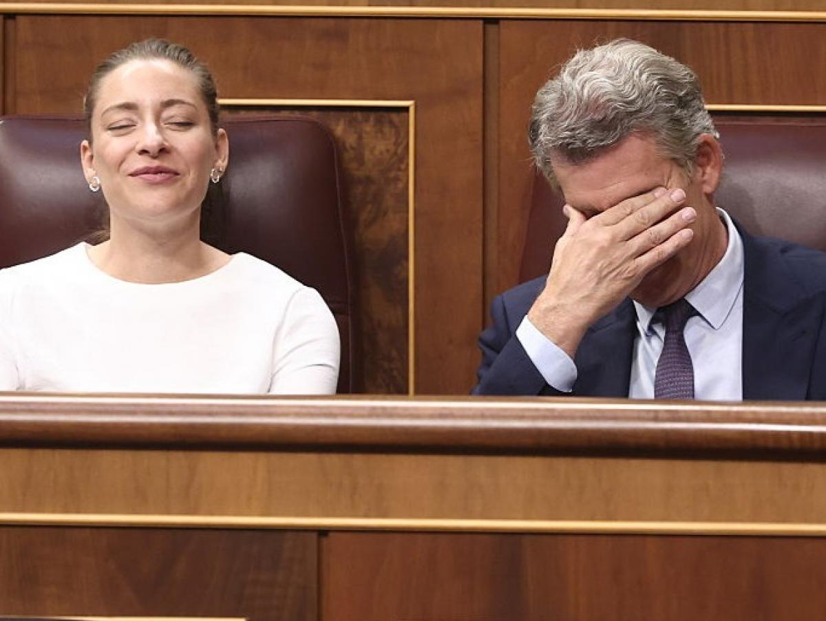 Ester Muñoz afirma que los socialistas "no saben lo que es trabajar, esforzarse, y sacrificarse" y le recuerdan su vida laboral fuera de la política