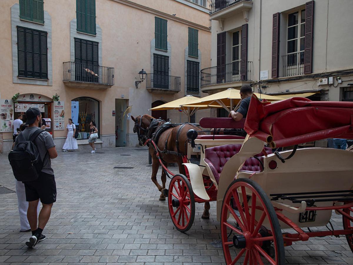 Palma prepara la sustitución de las calesas de caballos por carruajes eléctricos, pero cada uno cuesta 45.000 euros y lo paga el conductor: "Ahora la mayoría no lo podría afrontar"