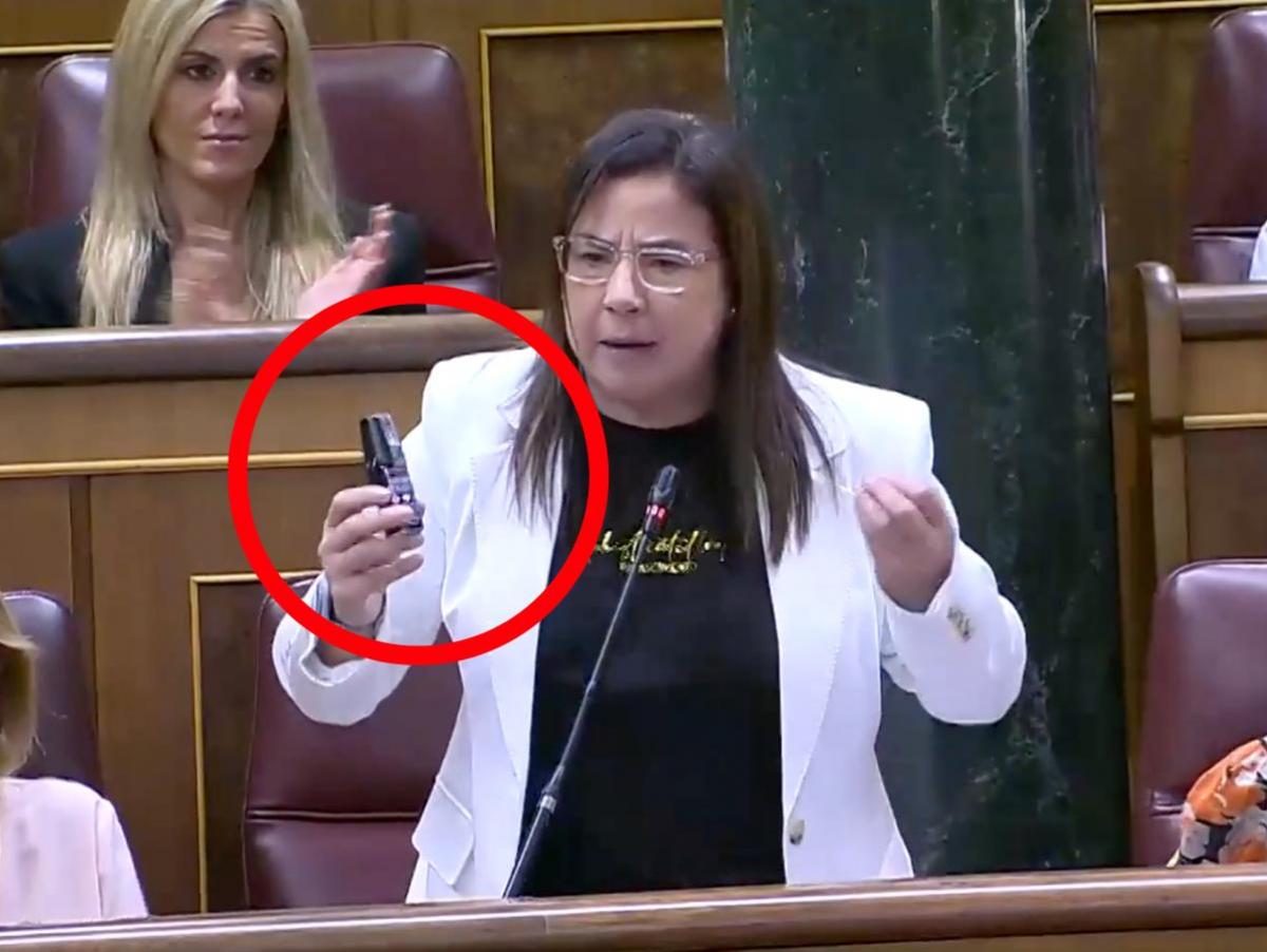El Congreso reprueba pero no sanciona a la diputada que llevó gas pimienta a la Cámara