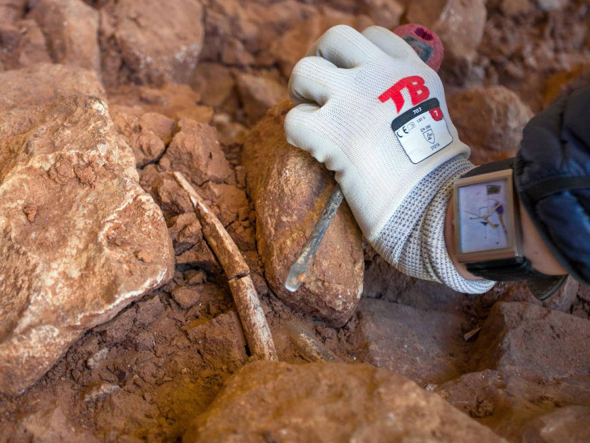En 1976 un estudiante encontró una mandíbula en una trinchera de tren abandonada en Burgos: hoy es el yacimiento con más fósiles humanos del mundo