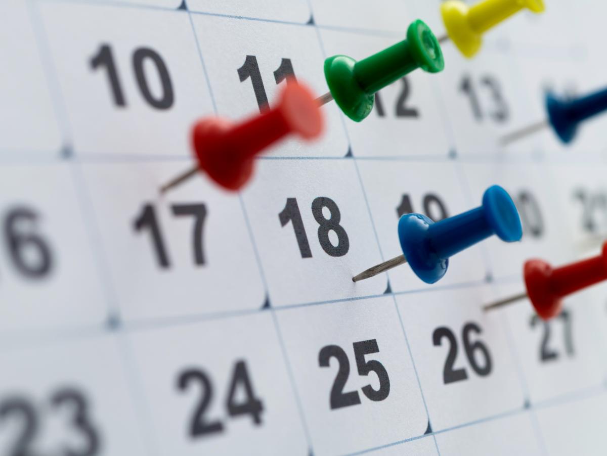 Por qué las elecciones serán el 29 de noviembre y no antes: la regla de los 54 días