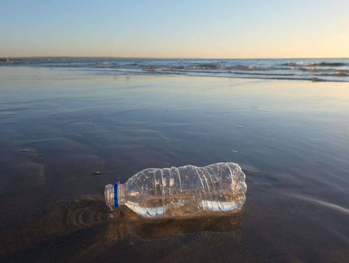 Ir a la playa no solo bañarse y tomar el sol: la petición de una investigadora del Imedea para cuidar la costa balear