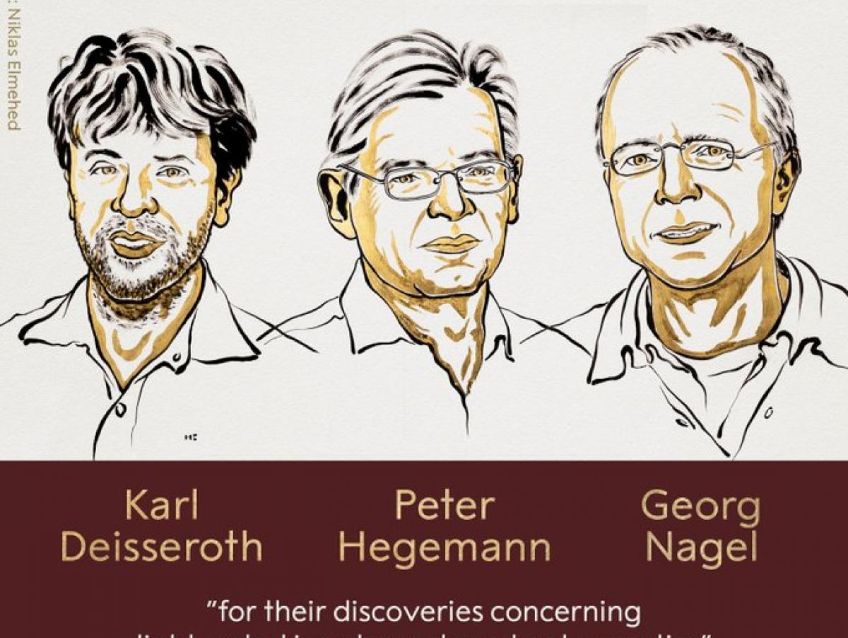Nobel de Medicina para Deisseroth,Hegemann y Nagel por sus descubrimientos en optogenética