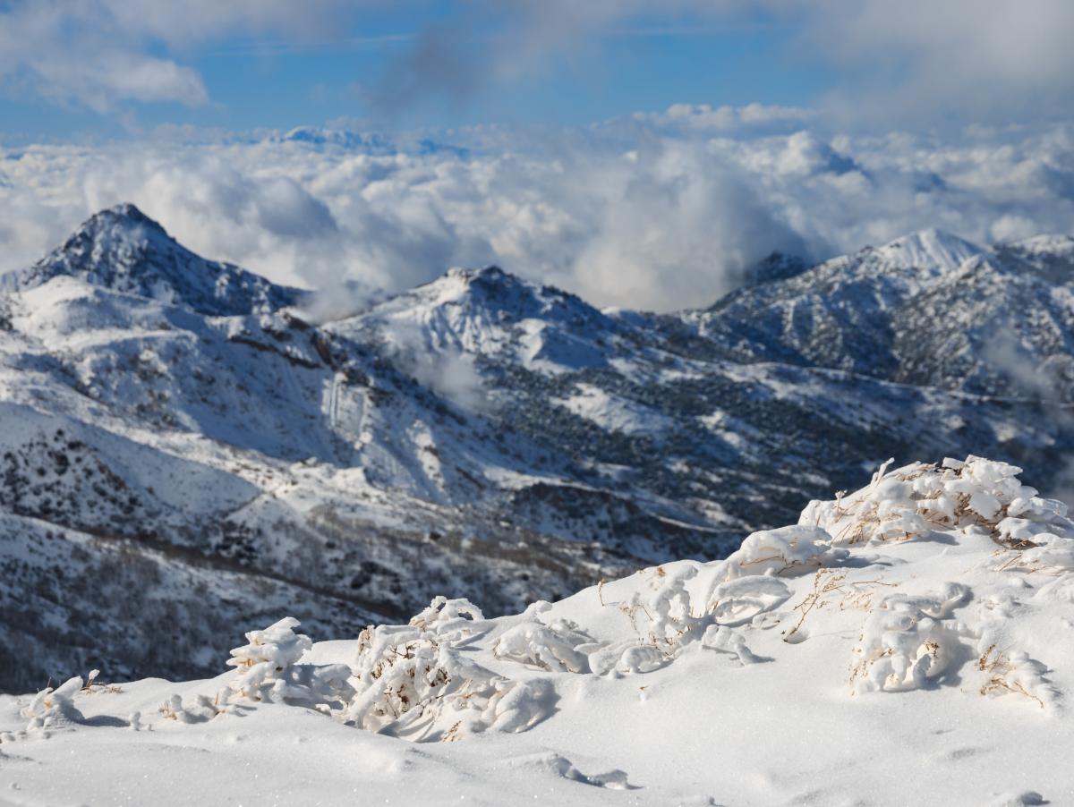 A principios del siglo XIX, un botánico valenciano vestido de musulmán, intentó cruzar África en una misión secreta: acabó midiendo las montañas de Sierra Nevada