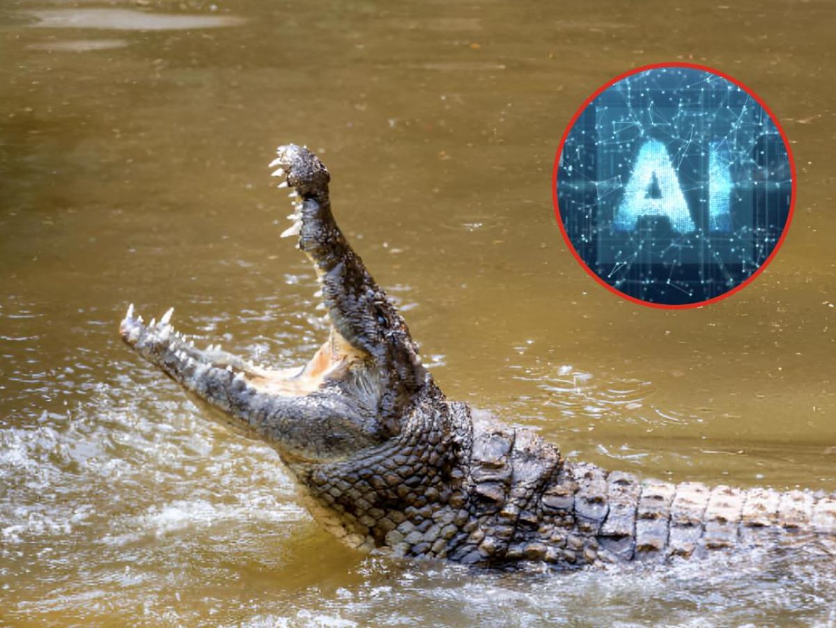 Lo que más cárcel le puede costar al hombre que inventó con IA un cocodrilo en Singapur no es la foto: es haberla borrado