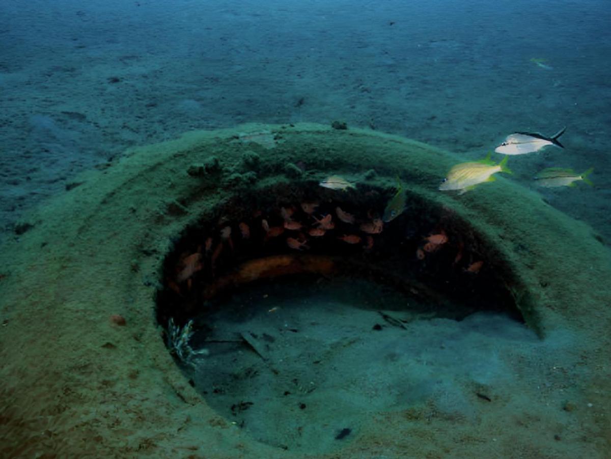 En 1972 tiraron miles de neumáticos al mar para crear un arrecife artificial: 50 años después, siguen sacándolos uno a uno de los corales