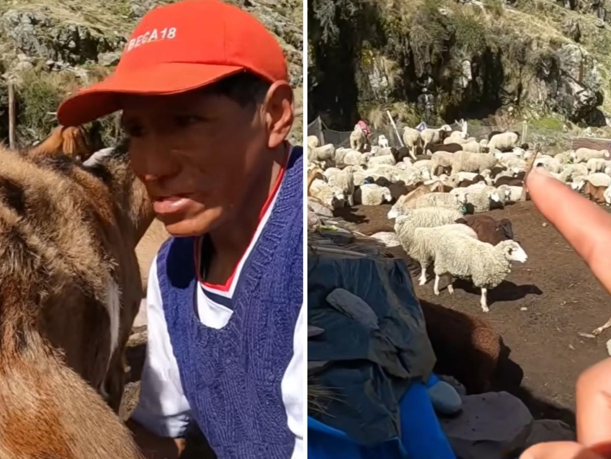 Alfonso deja su trabajo y ahora vive a 4000 metros de altura y se encarga de casi 200 cabras y ovejas: "Ya me cansé de ser peón"