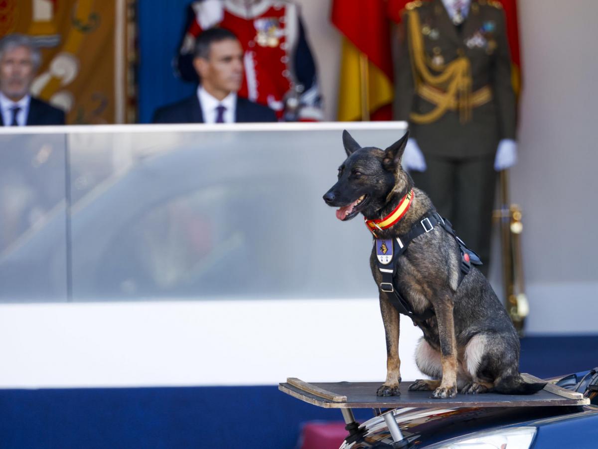 Abucheos e insultos a Sánchez en un desfile del 12-O con Ceuta como gran protagonista